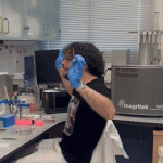 my amazing gif
